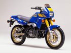 Yamaha TDR 250